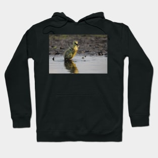 Pigpen Hoodie